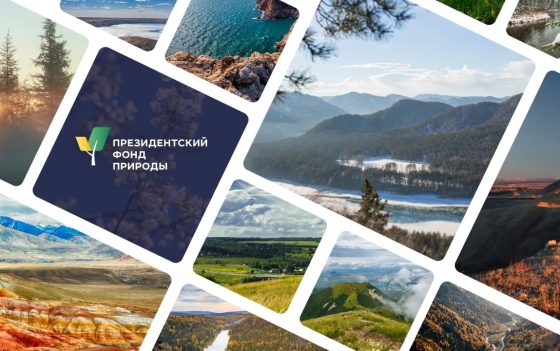 Президентский Фонд природы учрежден в 2025 году и уже в марте стартует первый конкурс