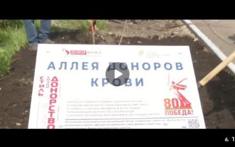 РЕПОРТАЖ ГТРК «Саратов» В САРАТОВЕ ПОЯВИЛАСЬ КАТАЛЬПОВАЯ АЛЛЕЯ ДОНОРОВ КРОВИ